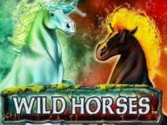 Игровой автомат Wild Horses (Дикие Лошади) играть бесплатно онлайн в казино Вулкан Platinum